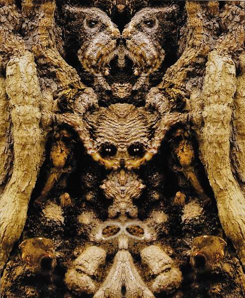 Lydia Vulliamy - Oak 1.jpg